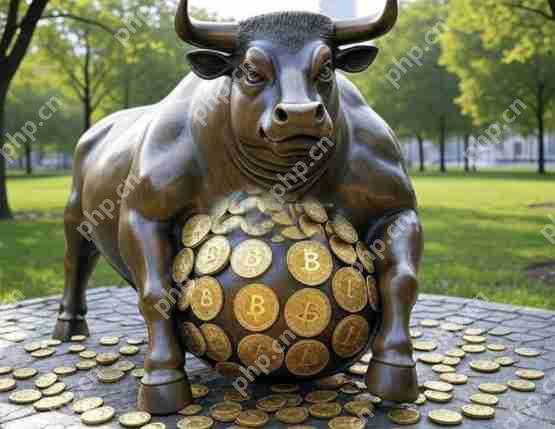 一文了解metaplanet发行1500万美元无息公司债!资金明确用于投资比特币